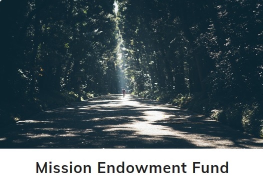 Understanding Endowment
