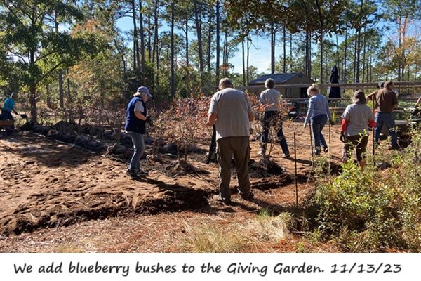 GivingGardenBlueberries11.12.23